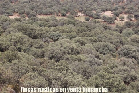 642_fincas-en-venta-46