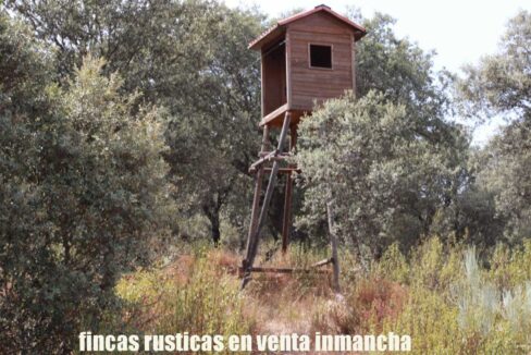 642_fincas-en-venta-49