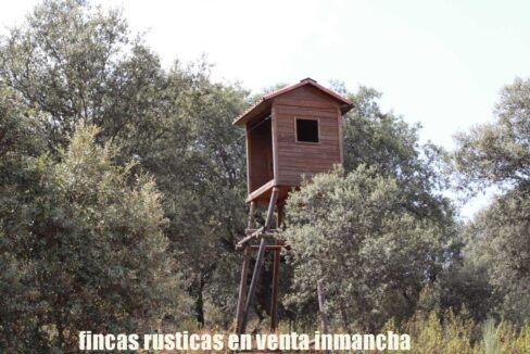 642_fincas-en-venta-52