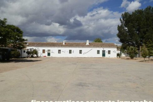 648_fincas-en-venta-33