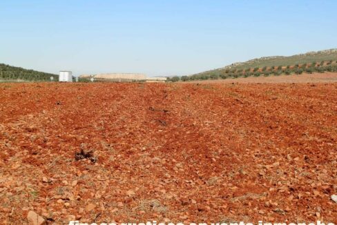 650_fincas-en-venta-071