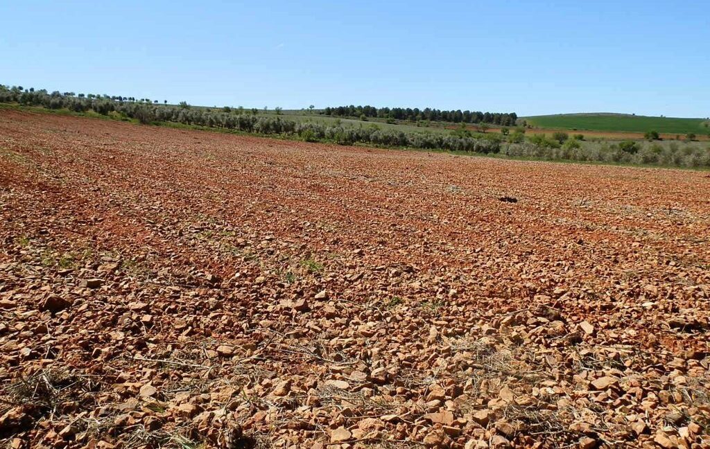 650_fincas-en-venta-073
