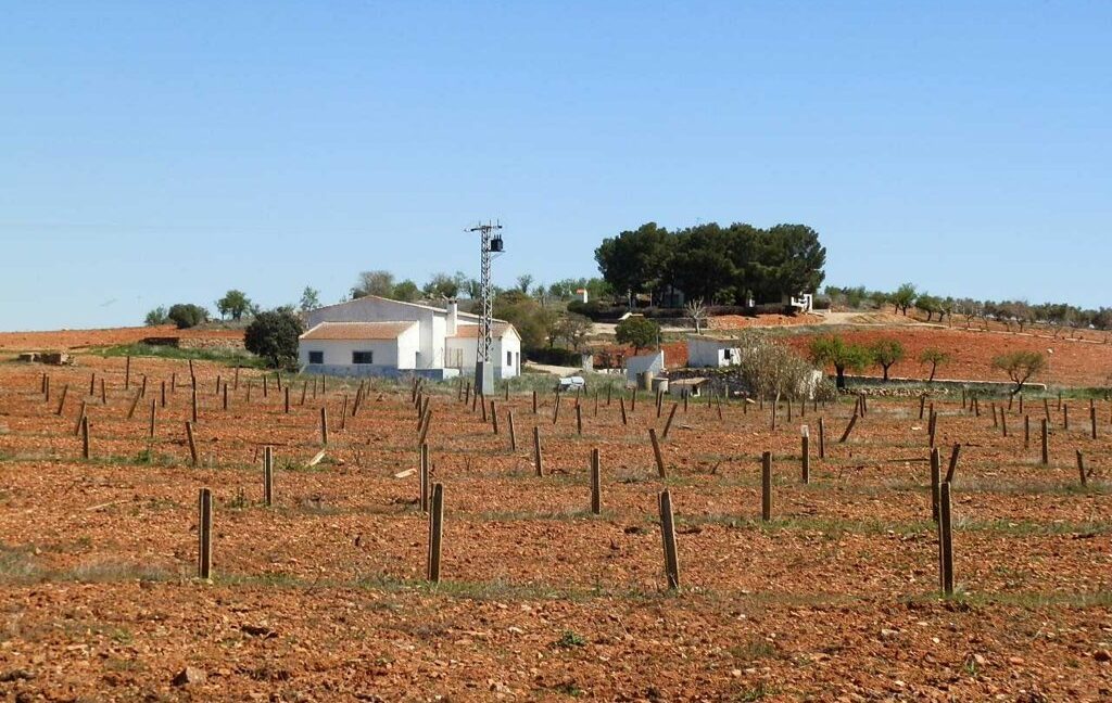 650_fincas-en-venta-080