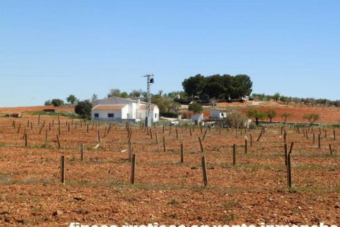 650_fincas-en-venta-080