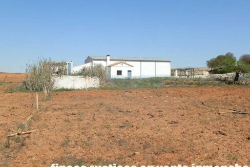 650_fincas-en-venta-082