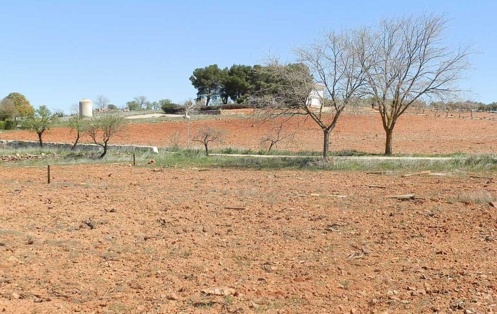 650_fincas-en-venta-083