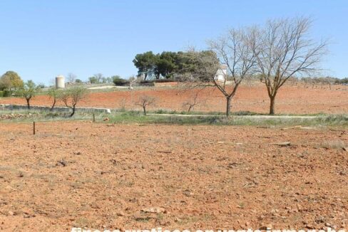 650_fincas-en-venta-083