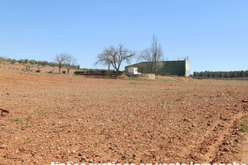 650_fincas-en-venta-085