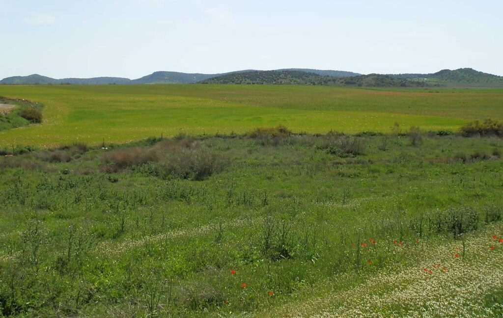 654_fincas-en-venta-30