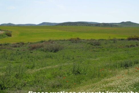 654_fincas-en-venta-30