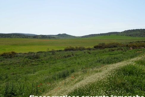 654_fincas-en-venta-31