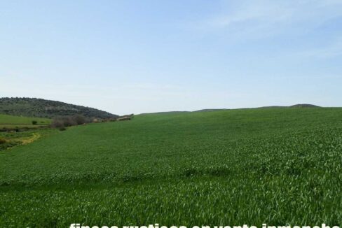 654_fincas-en-venta-33