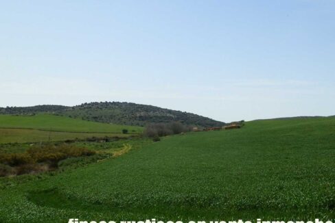 654_fincas-en-venta-34