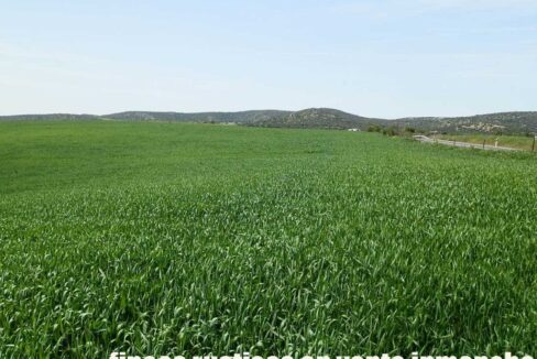 654_fincas-en-venta-36