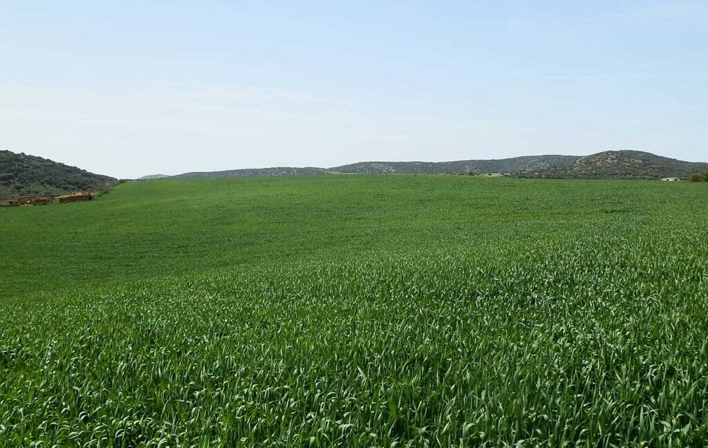654_fincas-en-venta-37
