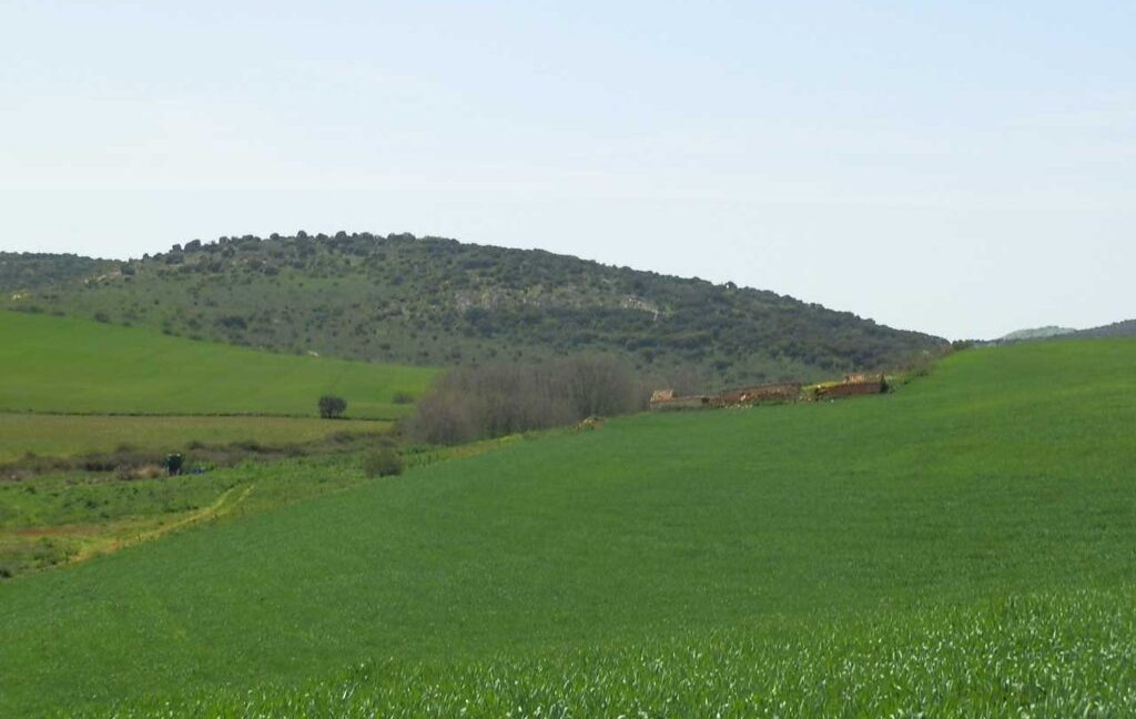 654_fincas-en-venta-38