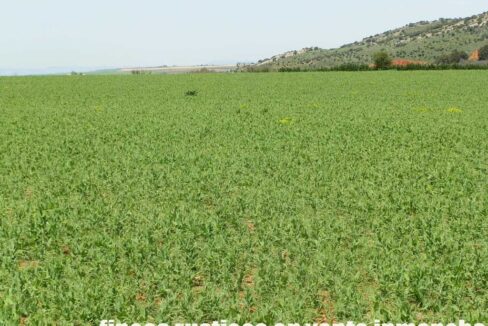 654_fincas-en-venta-40
