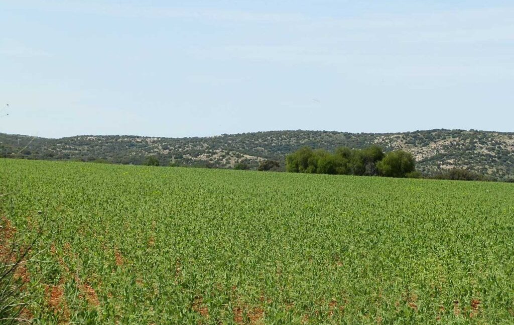 654_fincas-en-venta-42