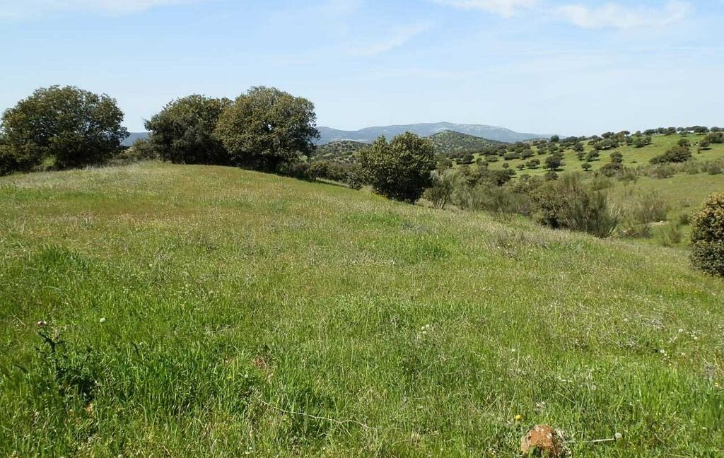 660_fincas-en-venta-0052