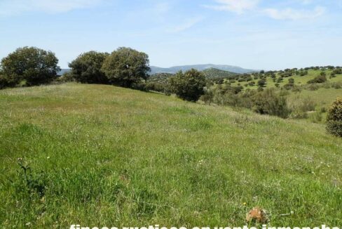 660_fincas-en-venta-0052