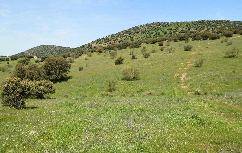 660_fincas-en-venta-0053