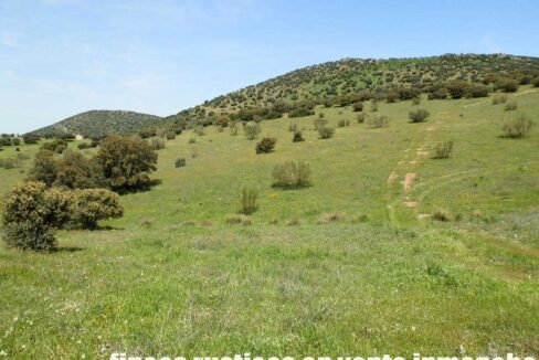 660_fincas-en-venta-0053
