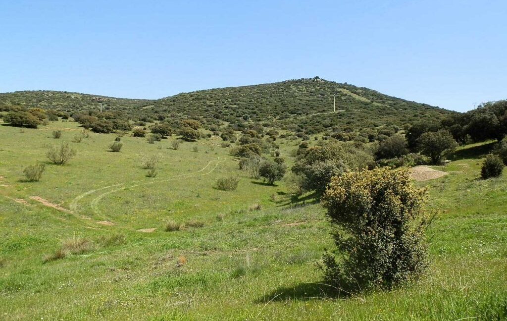 660_fincas-en-venta-0054