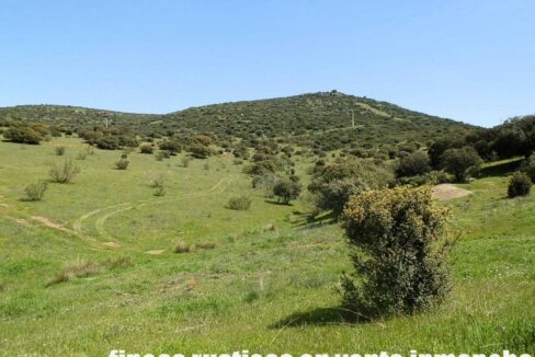 660_fincas-en-venta-0054