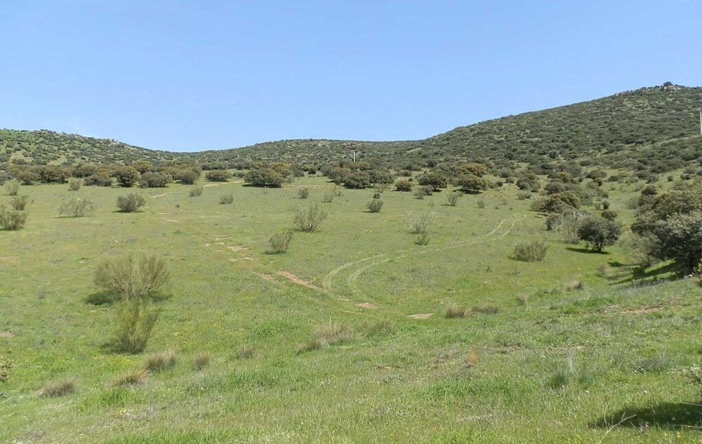 660_fincas-en-venta-0055