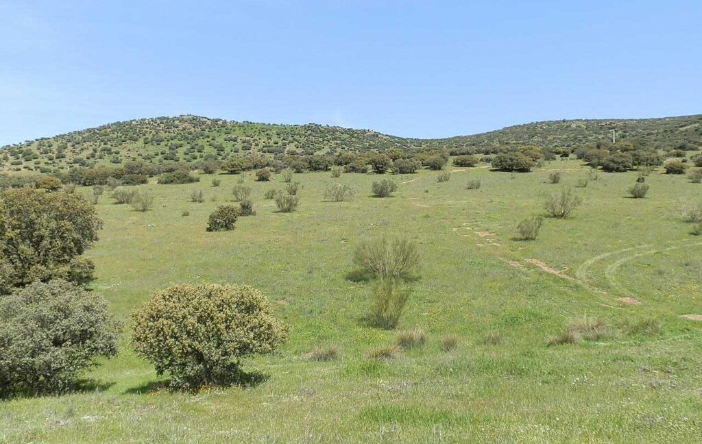 660_fincas-en-venta-0056