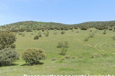 660_fincas-en-venta-0056