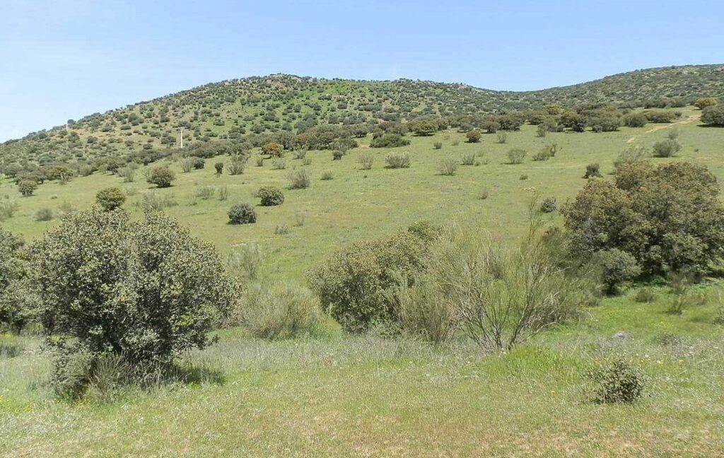 660_fincas-en-venta-0058