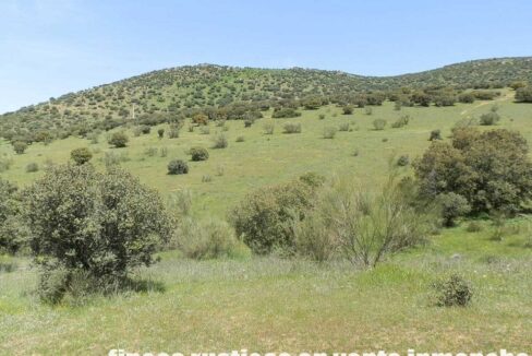 660_fincas-en-venta-0058