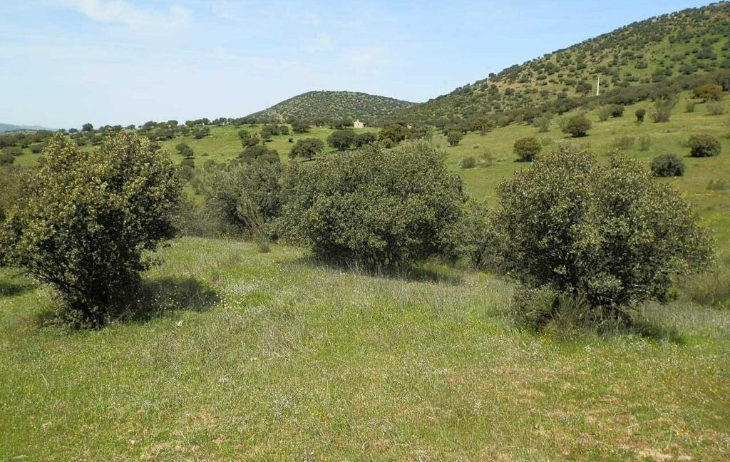 660_fincas-en-venta-0059