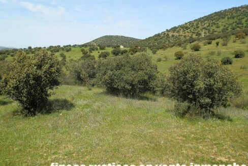 660_fincas-en-venta-0059