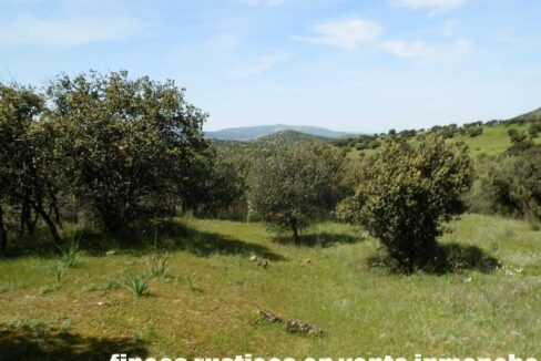 660_fincas-en-venta-0060