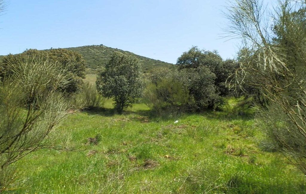 660_fincas-en-venta-0061