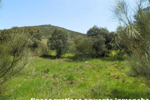 660_fincas-en-venta-0061