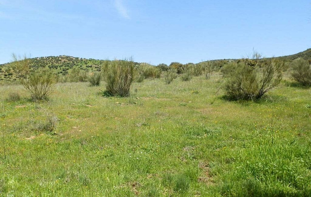 660_fincas-en-venta-0062