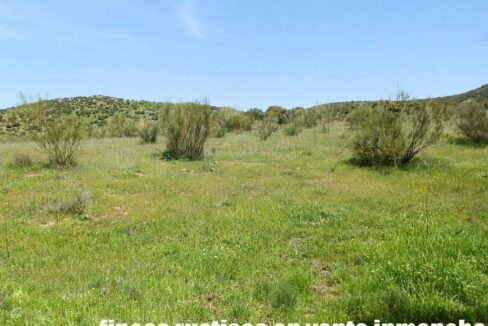 660_fincas-en-venta-0062