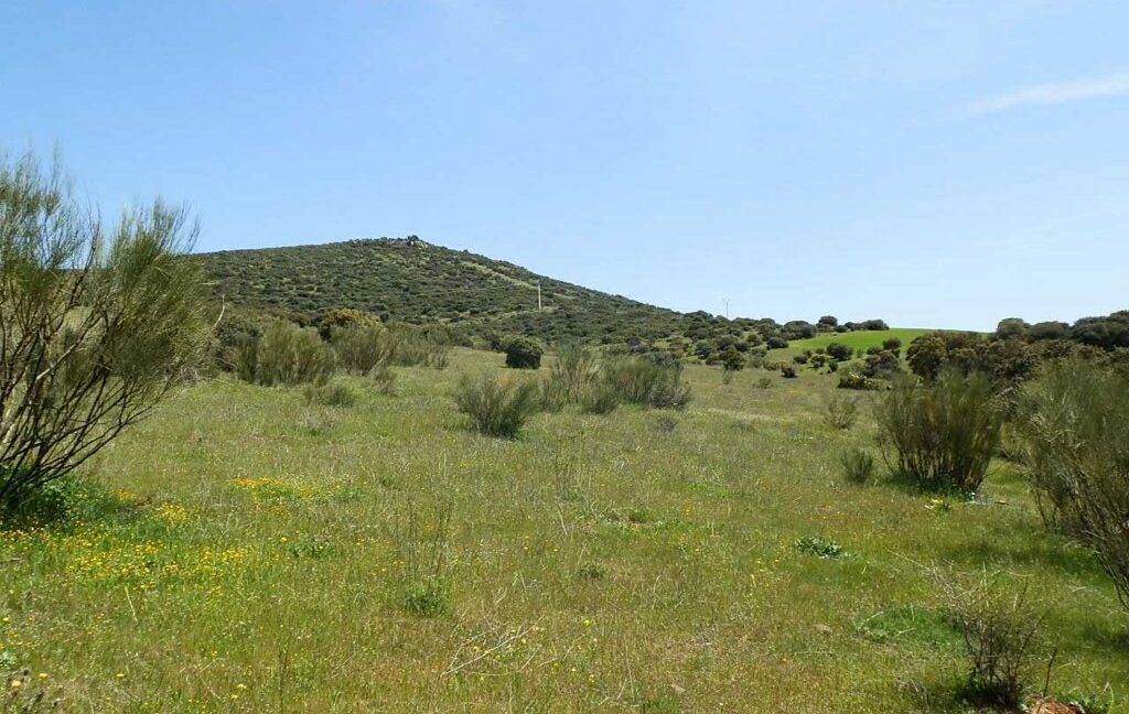 660_fincas-en-venta-0063