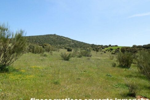 660_fincas-en-venta-0063
