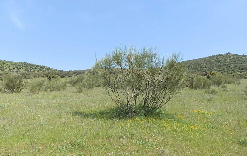 660_fincas-en-venta-0064