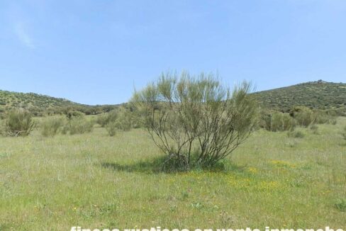 660_fincas-en-venta-0064
