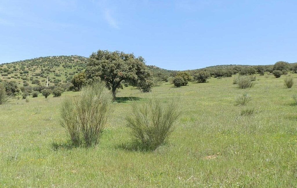 660_fincas-en-venta-0065