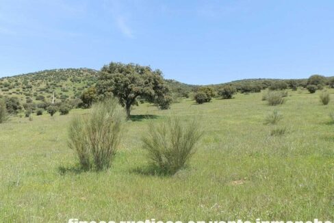 660_fincas-en-venta-0065
