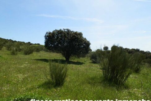 660_fincas-en-venta-0066