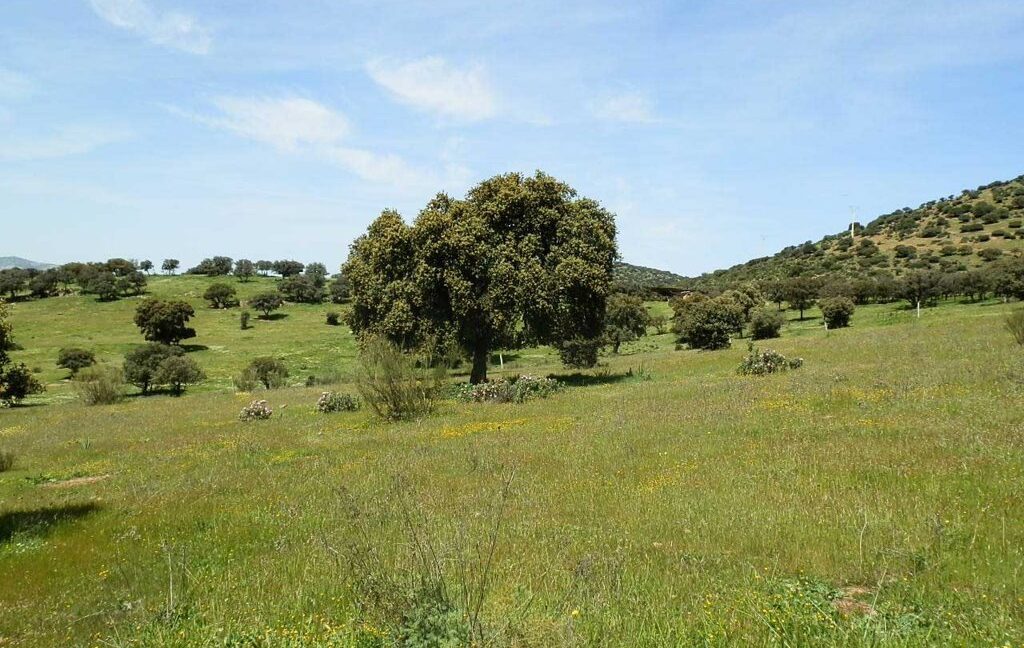 660_fincas-en-venta-0067