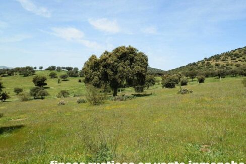 660_fincas-en-venta-0067
