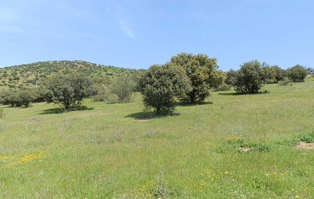 660_fincas-en-venta-0068